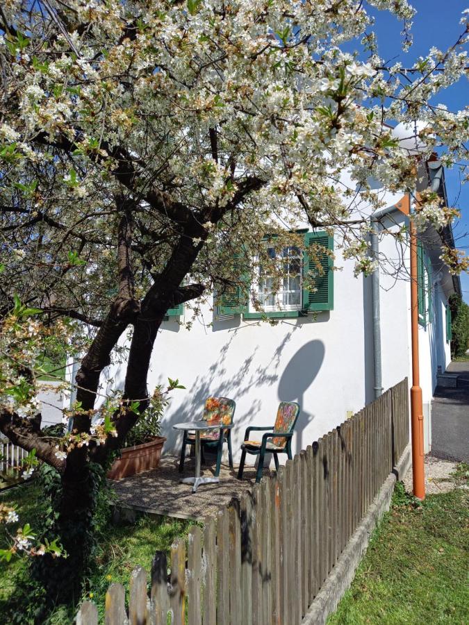 Ferienhaus Im Thermenland Ilz ภายนอก รูปภาพ