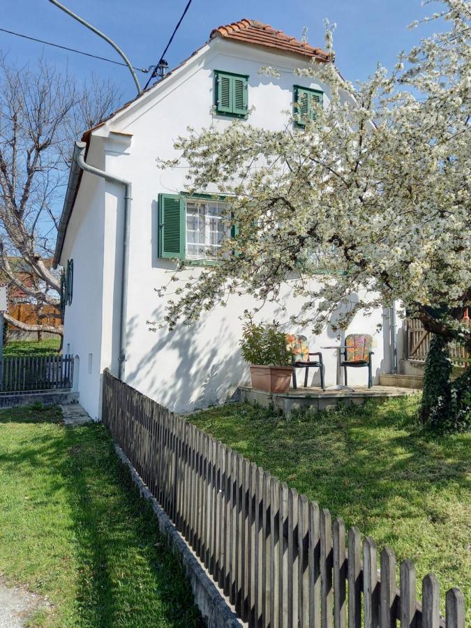 Ferienhaus Im Thermenland Ilz ภายนอก รูปภาพ